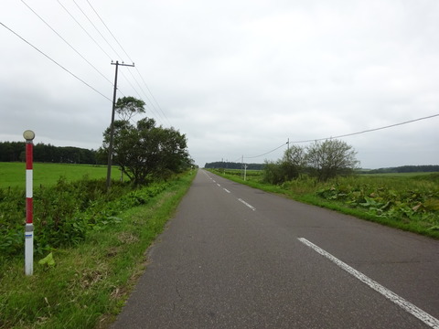 DSC00665
