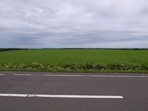 R0011348