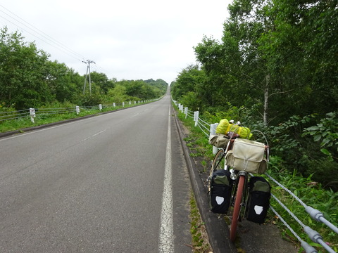 DSC00637