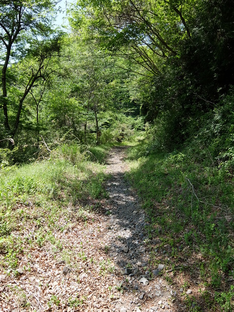 DSCF1808