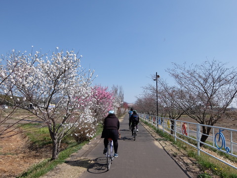 DSCF6062