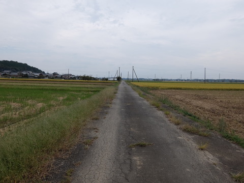 DSCF6245
