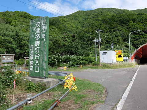 DSCF4254