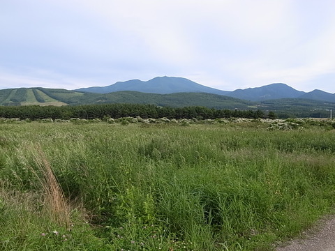 R0011424