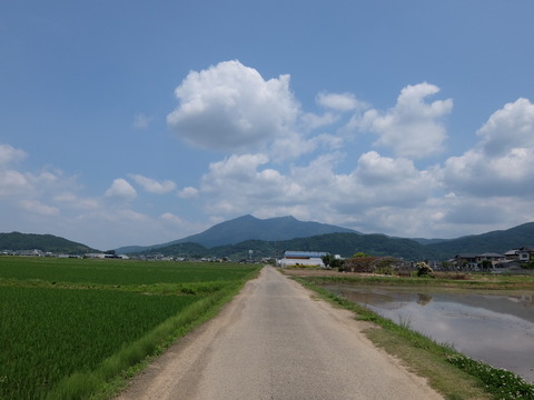 DSCF5627