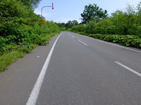 DSCF2802