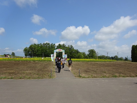 DSC00037
