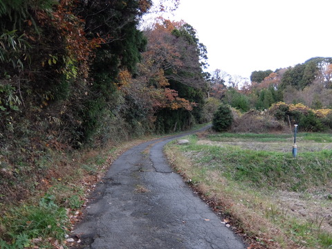 DSCF5880