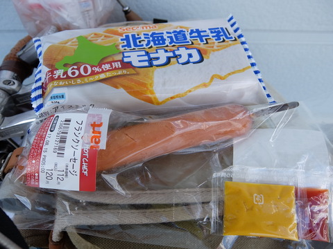 DSCF4229