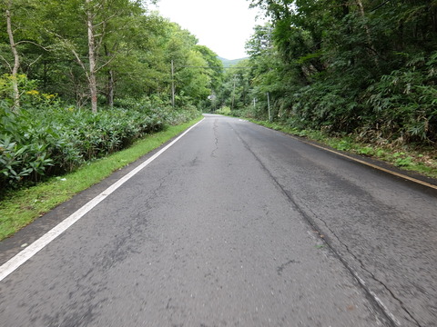 DSCF5008