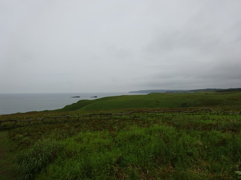 DSC00784