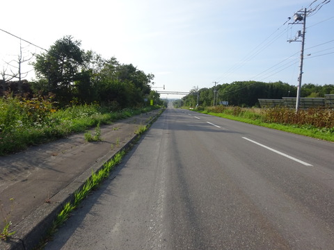 DSC00239