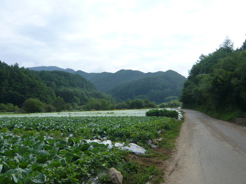 P1010696
