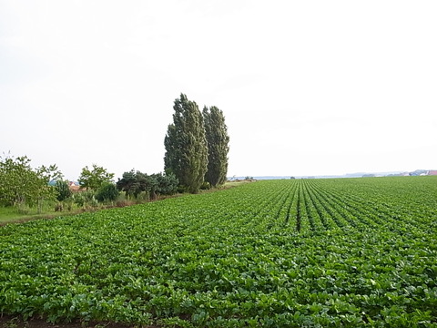 R0012164