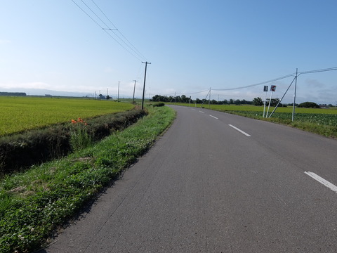 DSCF7591