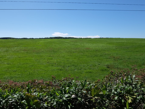 DSCF2725