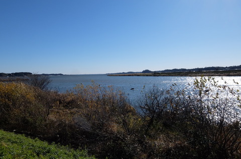 DSCF3617