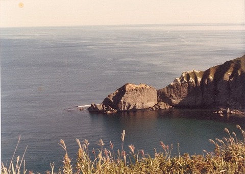 tokkarisho1979