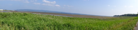 DSC00324