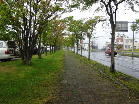 DSC00815