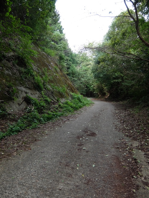DSCF6229