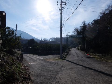 DSCF5978