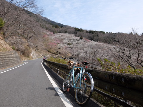 DSCF6305