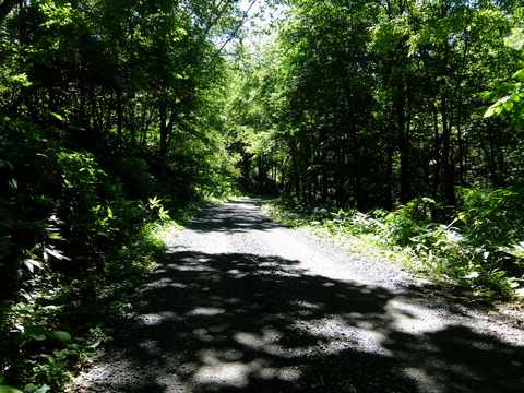 DSCF3165