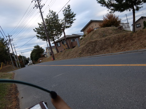 DSCF5811