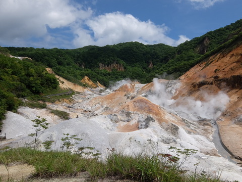 DSCF5016