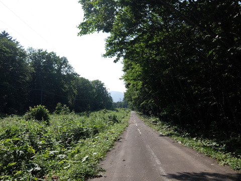 DSCF2454