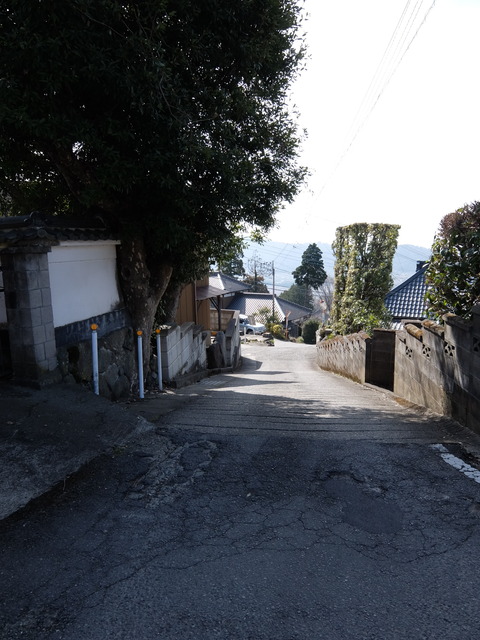 DSCF5995