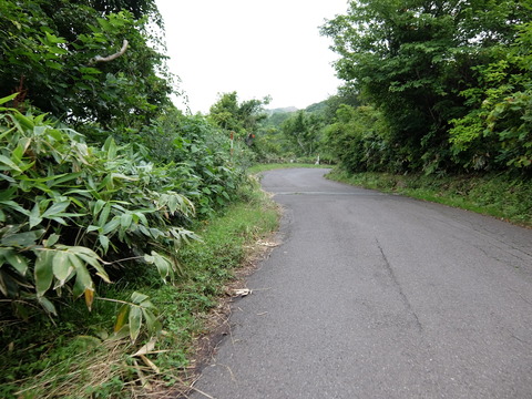 DSCF3840