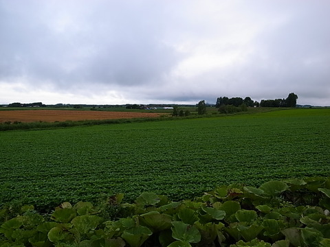 R0011876