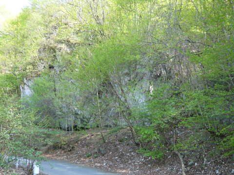 P1010469