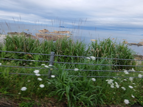 DSCF4099