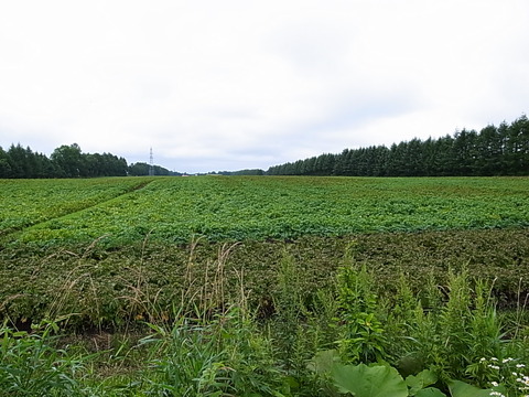 R0012048