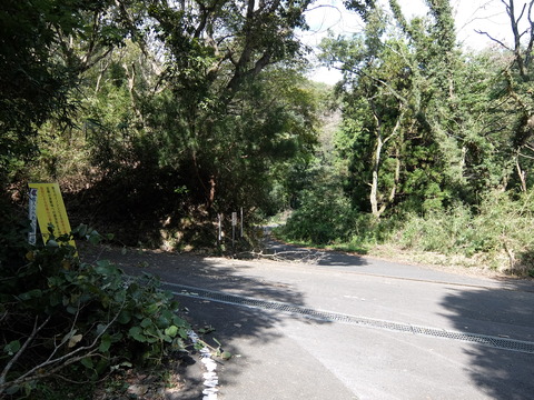 DSCF7745