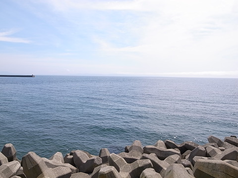 R0011390