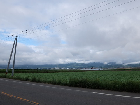 DSCF7442
