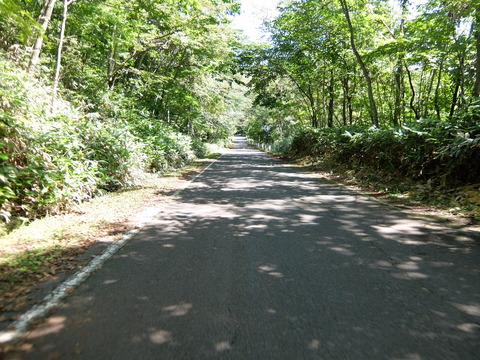 DSCF5047