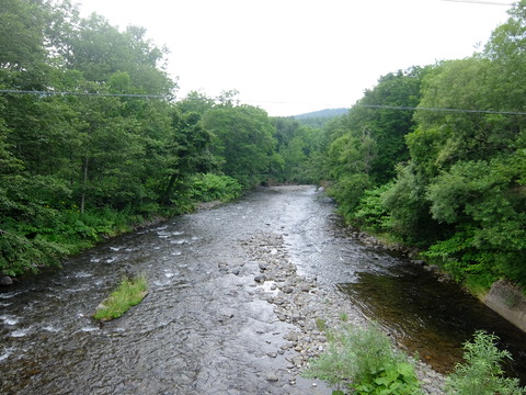 DSCF2898