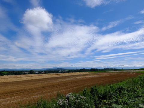 DSCF3136