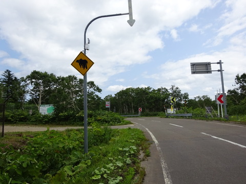 DSC00172