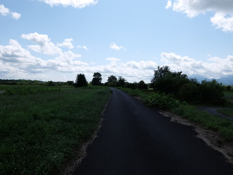 DSCF7522