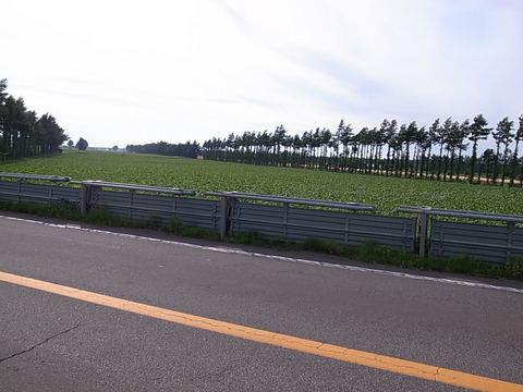 R0011426