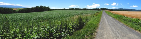DSCF3175