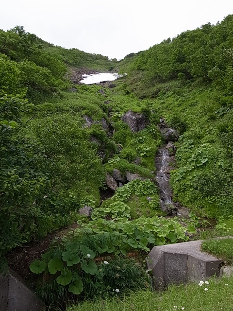 R0011397