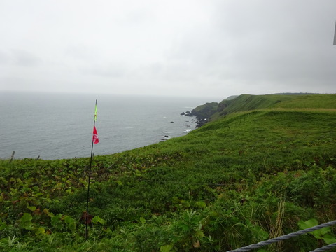 DSC00800