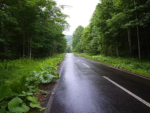 R0011961